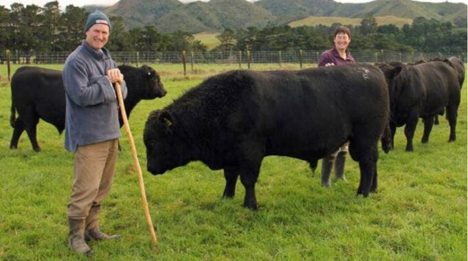 Angus Friel The Rangatira stud was founded by John and Shirley Dowding at Rangatira ...
